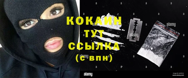 ГАЛЛЮЦИНОГЕННЫЕ ГРИБЫ Лагань