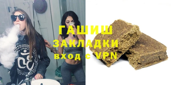 крисы Кулебаки