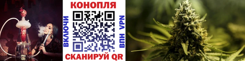 МАРИХУАНА сатива  hydra ТОР  Сольцы  где купить  
